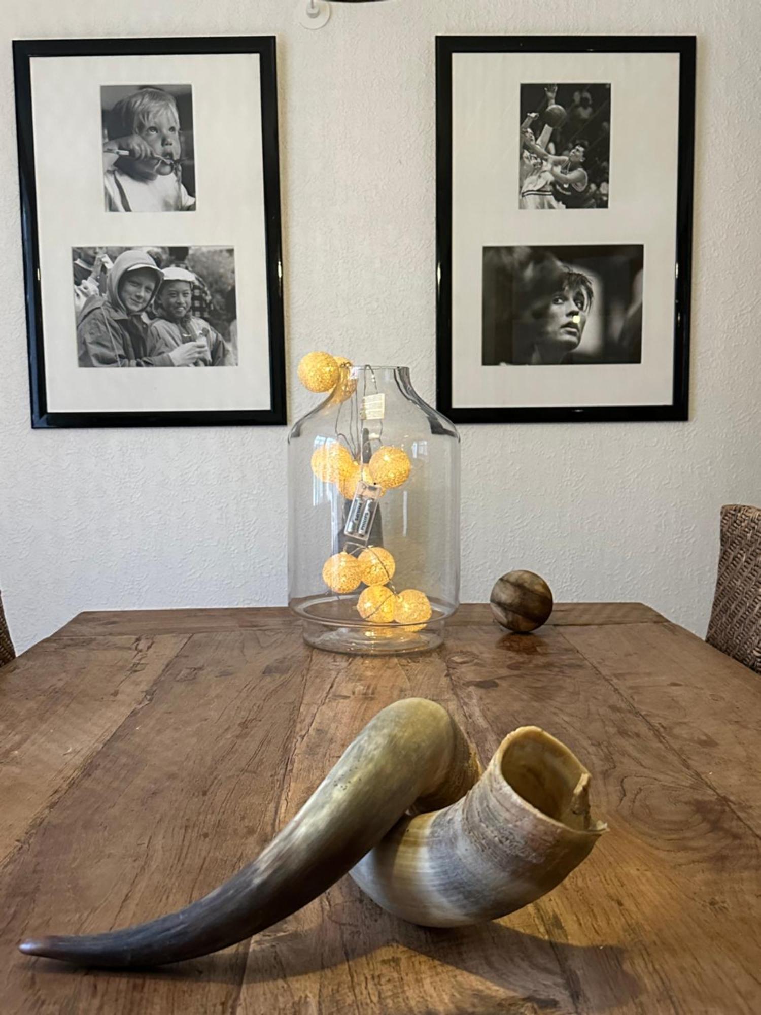 Troldegaarden Guesthouse Кёге Экстерьер фото