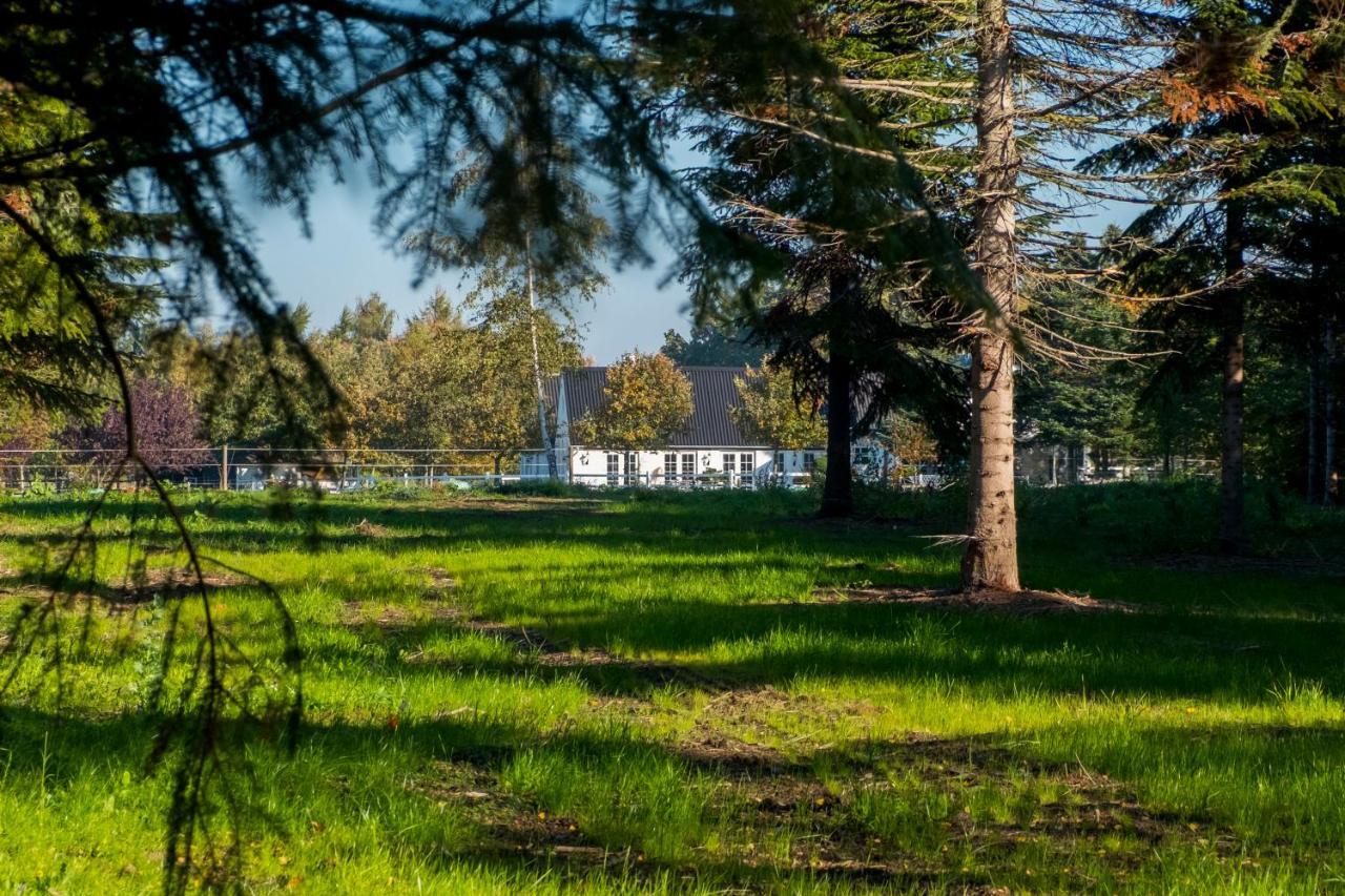Troldegaarden Guesthouse Кёге Экстерьер фото